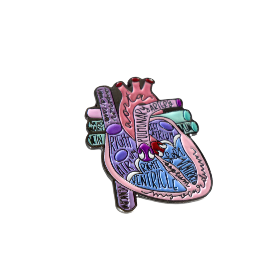 Anatomic Heart Art