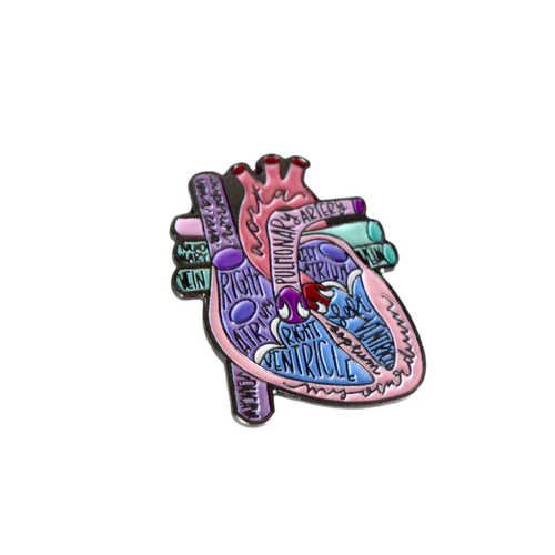 Anatomic Heart Art